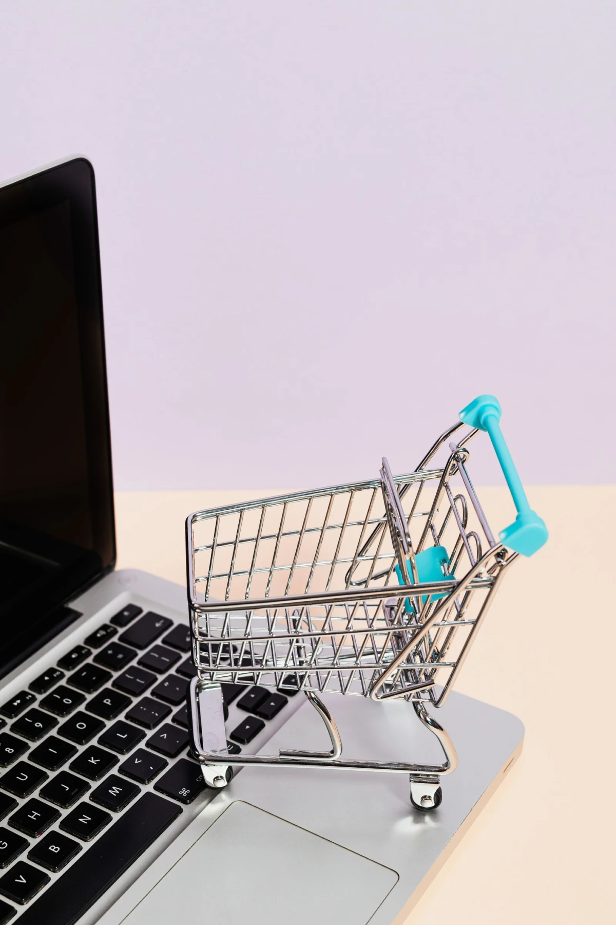 WordPress Ecommerce With WooCommerce: Products, Checkout, Payments and Maintenance
